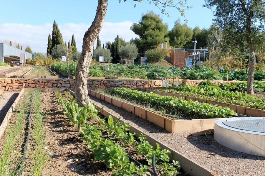 Centro De Agroecologia Y Medio Ambiente De Murcia Bullas Luaran gambar