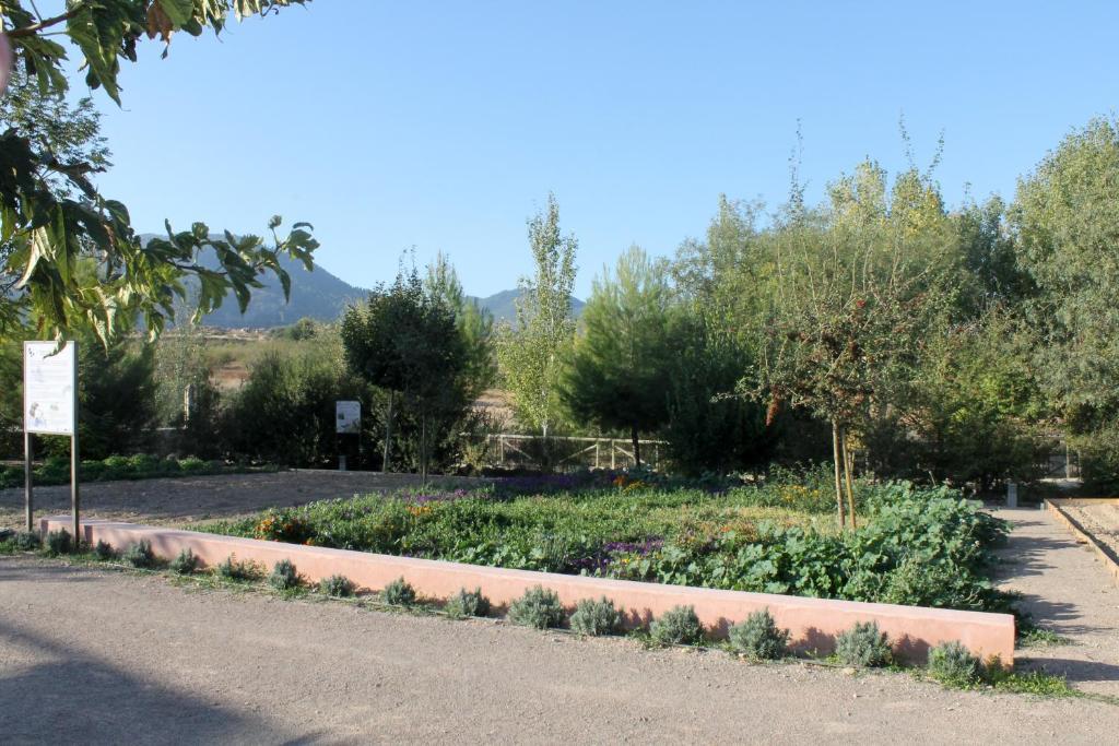 Centro De Agroecologia Y Medio Ambiente De Murcia Bullas Bilik gambar