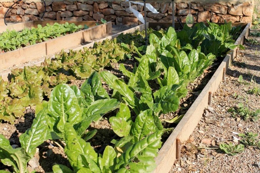Centro De Agroecologia Y Medio Ambiente De Murcia Bullas Luaran gambar