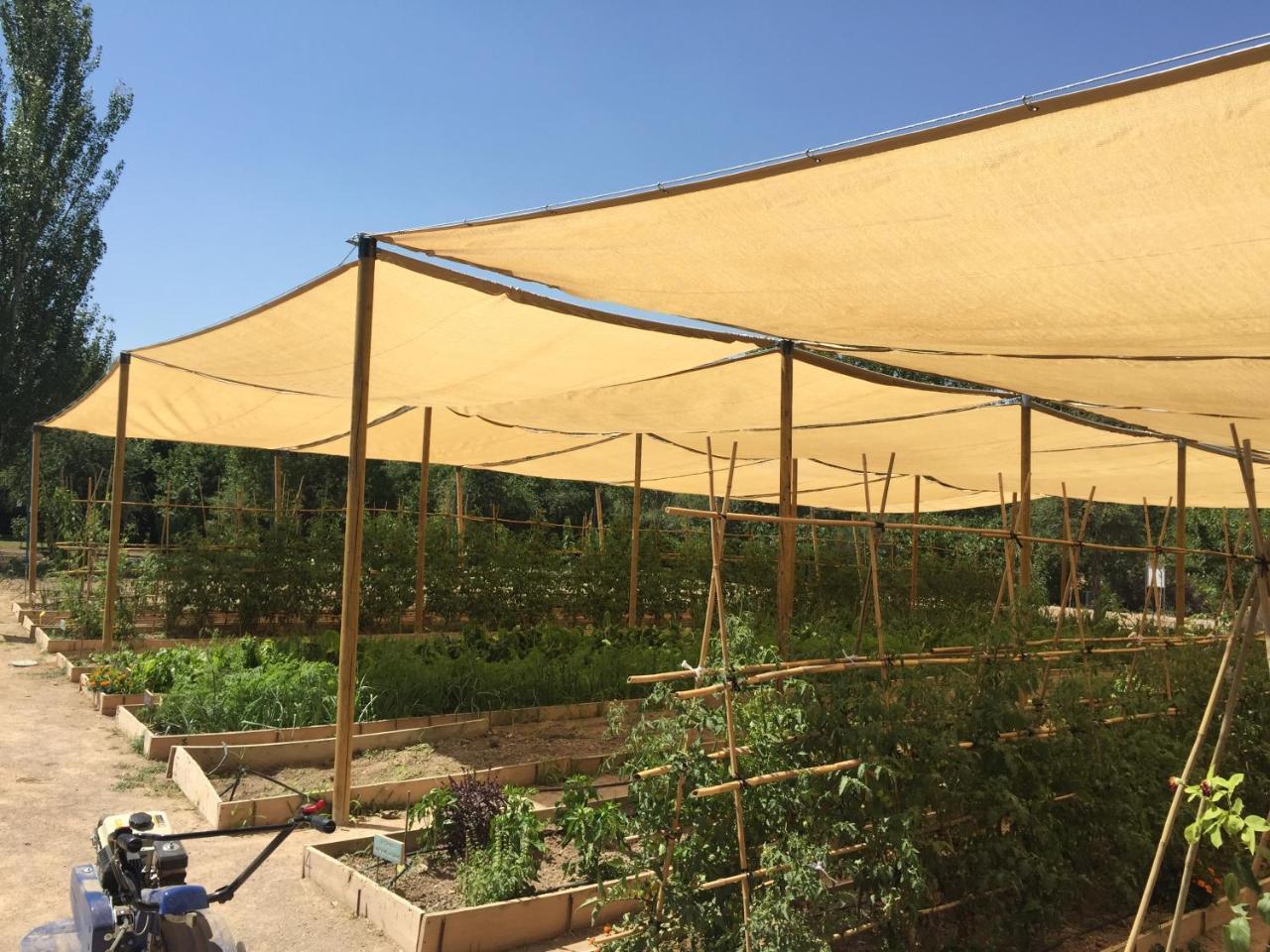 Centro De Agroecologia Y Medio Ambiente De Murcia Bullas Luaran gambar