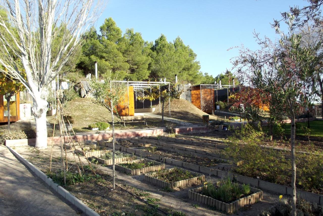 Centro De Agroecologia Y Medio Ambiente De Murcia Bullas Luaran gambar