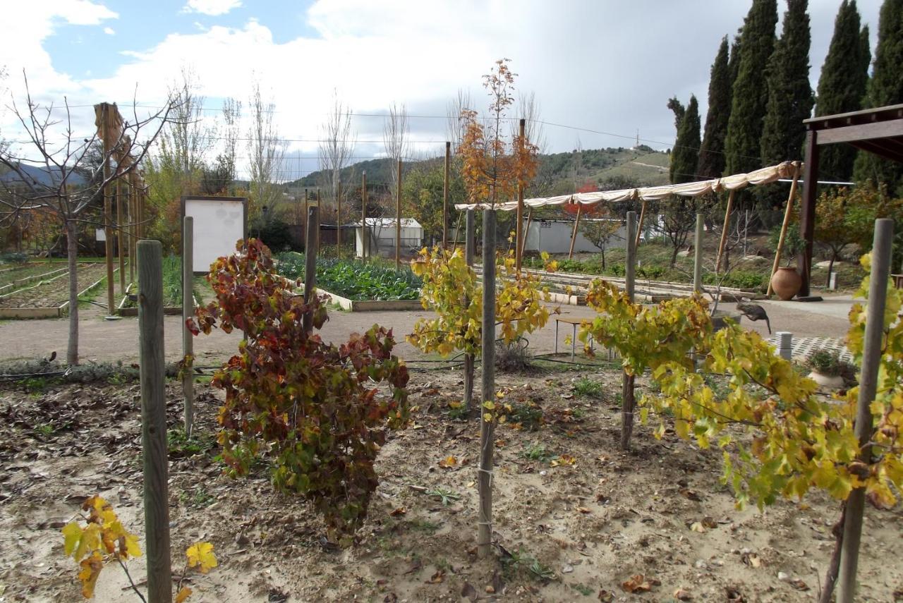 Centro De Agroecologia Y Medio Ambiente De Murcia Bullas Luaran gambar